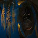 image: unlabelled image