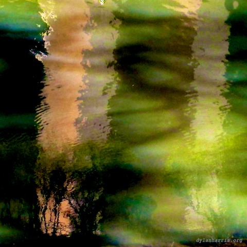 image: unlabelled image