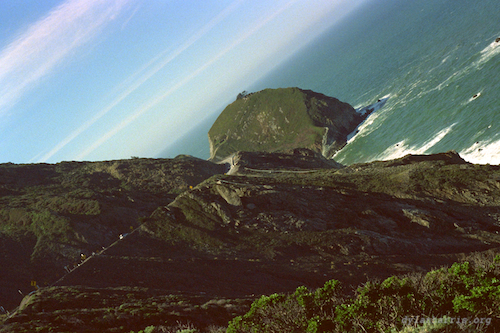 image: unlabelled image