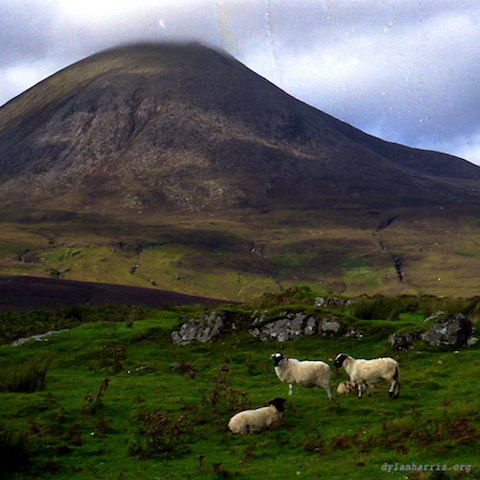 image: unlabelled image