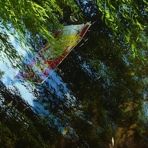 image: building in canal