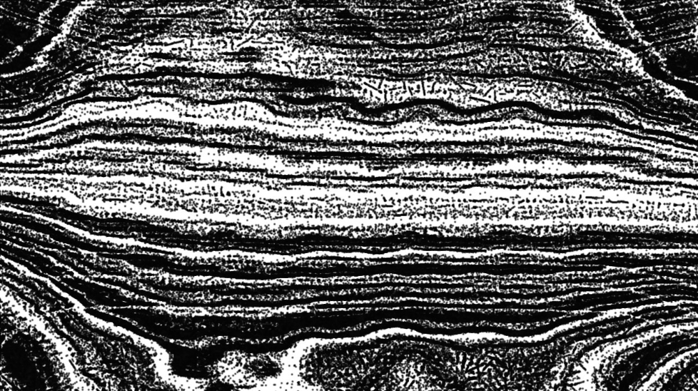 Image 'reflets — paint synthesiser classic — users 1 aaa tucker 10 5'.