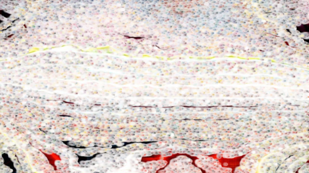 Image 'reflets — paint synthesiser classic — users 1 aaa tucker 4 3'.