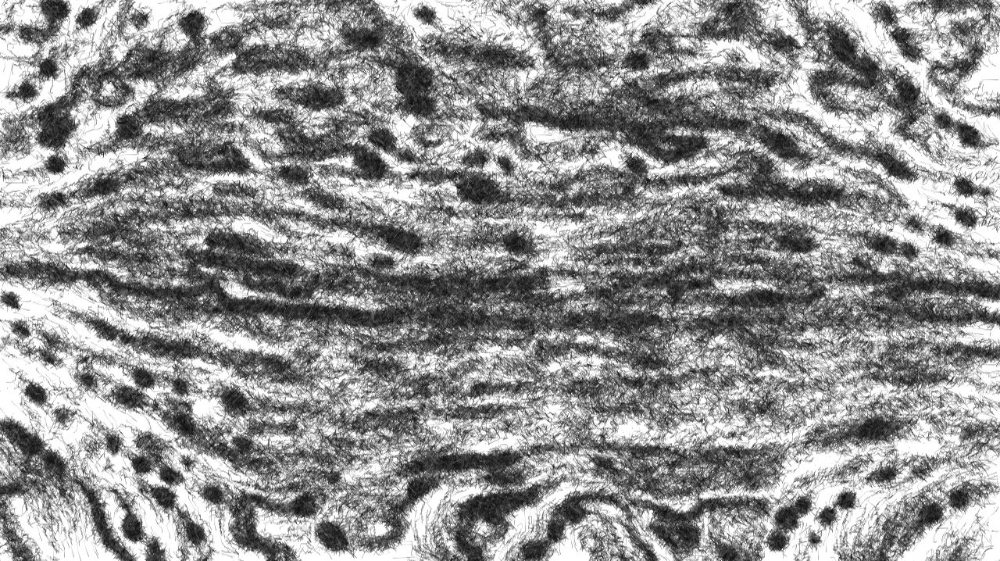 Image 'reflets — paint synthesiser classic — users 1 aaa tucker 8 8'.