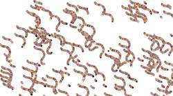 First of 'reflets — paint synthesiser classic — 3.5 collection active 4'.