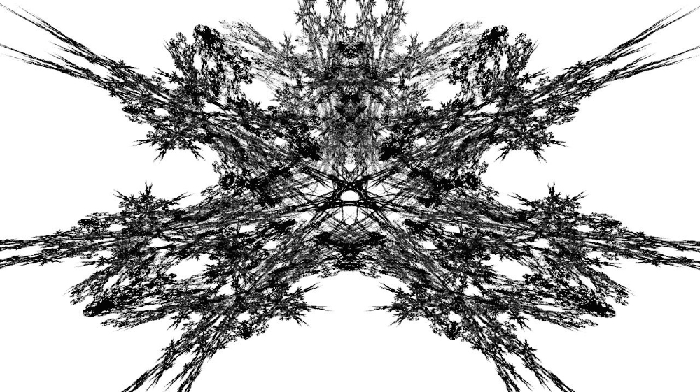 Image 'reflets — msg — abstract attractors black & white 1 3'.