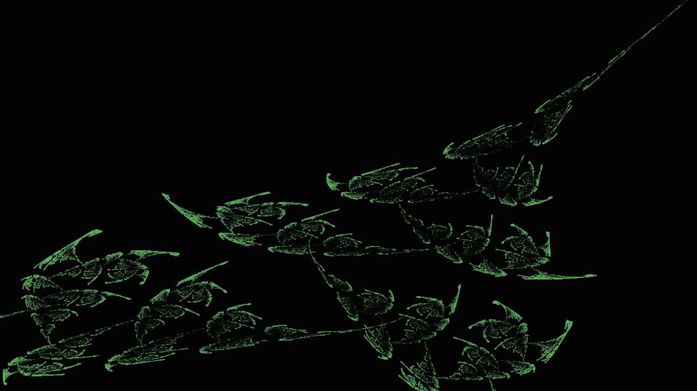 Image 'reflets — msg — abstract attractors plant forms 3'.