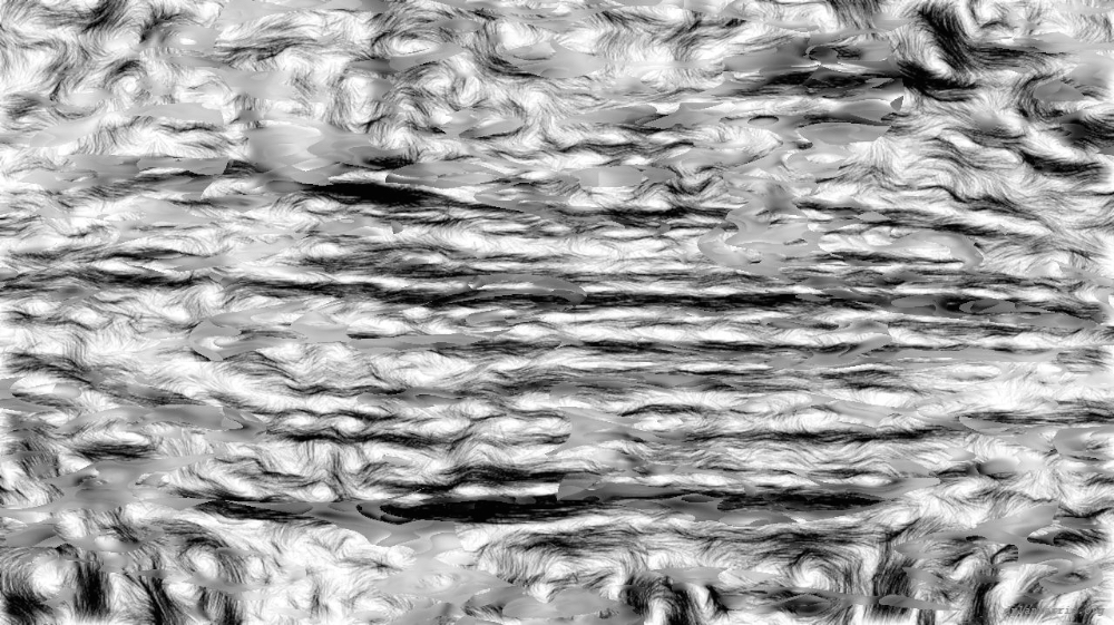 Image 'reflets — msg — processing effects 0 black n white 1 4'.