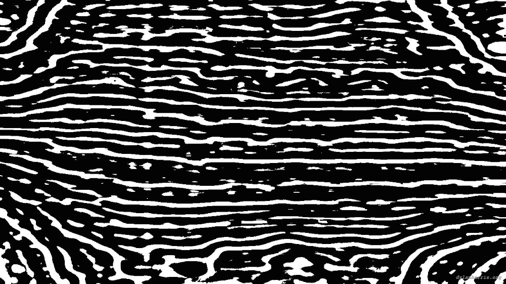 Image 'reflets — msg — processing effects 0 black n white 1 5'.