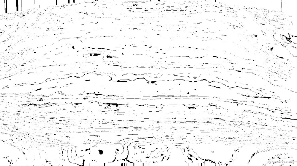 Image 'reflets — msg — processing effects 0 black n white 3 5'.