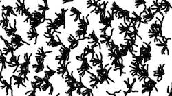 Fifth of 'reflets — paint synthesiser classic — 2.0 collection branchy filaments 1'.