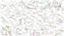 Second of 'reflets — paint synthesiser classic — 3.0 collection bristle paints 5'.