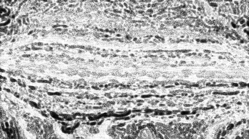 Image 'reflets — paint synthesiser classic — 3.0 collection bw effects 1 4'.