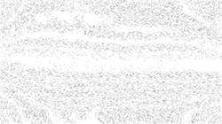 Second of 'reflets — paint synthesiser classic — 3.0 collection bw effects 1'.