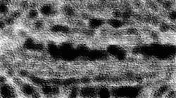 Third of 'reflets — paint synthesiser classic — 3.0 collection bw effects 1'.