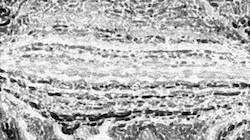 Fourth of 'reflets — paint synthesiser classic — 3.0 collection bw effects 1'.