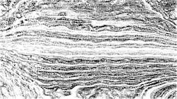 Seventh of 'reflets — paint synthesiser classic — 3.0 collection bw effects 1'.