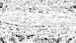 Third of 'reflets — paint synthesiser classic — 3.0 collection bw effects 2'.