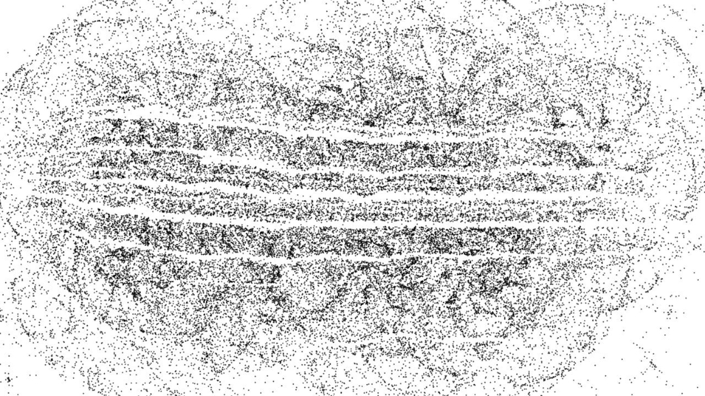 Image 'reflets — paint synthesiser classic — 2.0 collection BW hatch 1 1 1'.