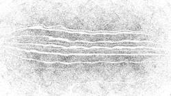 Second of 'reflets — paint synthesiser classic — 2.0 collection BW hatch 1 1'.