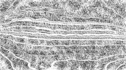 First of 'reflets — paint synthesiser classic — 3.5 collection BW hatching 1'.