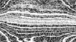 Seventh of 'reflets — paint synthesiser classic — 3.5 collection BW hatching 1'.