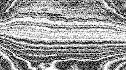 First of 'reflets — paint synthesiser classic — 3.5 collection BW hatching 2'.