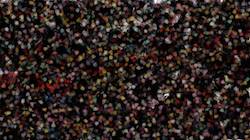 First of 'reflets — paint synthesiser classic — 3.5 collection canvas manipulators'.