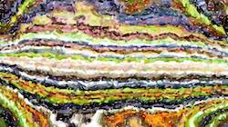 Second of 'reflets — paint synthesiser classic — speciality colour examples 2 1'.