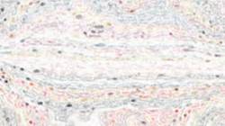 Fourth of 'reflets — paint synthesiser classic — default chalk 3'.