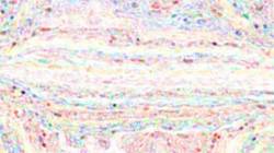 Eighth of 'reflets — paint synthesiser classic — default chalk 3'.