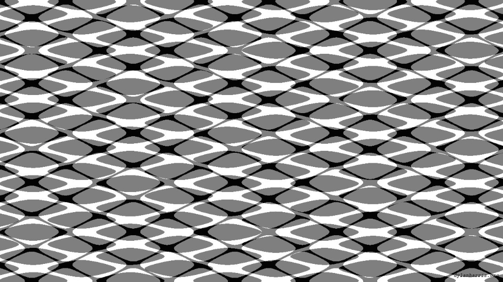 Image 'reflets — msg — users chaos 2 6'.