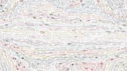 Fourth of 'reflets — paint synthesiser classic — default charcoal 2'.