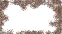 Sixth of 'reflets — paint synthesiser classic — 3.0 collection cloners 1 3'.