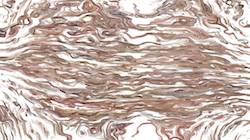 First of 'reflets — paint synthesiser classic — 3.0 collection cloners 1 4'.