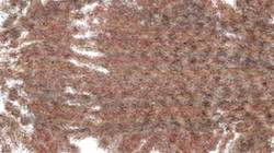 Fifth of 'reflets — paint synthesiser classic — 3.0 collection cloners 1 4'.