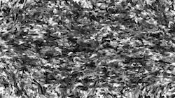 Sixth of 'reflets — paint synthesiser classic — 3.0 collection cloners 1 5'.