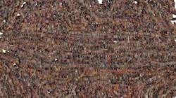 Fourth of 'reflets — paint synthesiser classic — 3.0 collection cloners 4 4'.