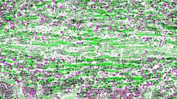 Second of 'reflets — paint synthesiser classic — 3.0 collection cloners 4 9'.