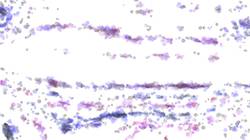 Sixth of 'reflets — paint synthesiser classic — 3.5 collection cloners 3'.