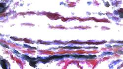 Seventh of 'reflets — paint synthesiser classic — 3.5 collection cloners 3'.