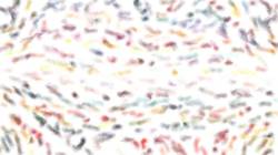 First of 'reflets — paint synthesiser classic — 3.0 collection clostro::strokes 9'.