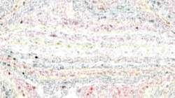 Second of 'reflets — paint synthesiser classic — paint styles crayon'.