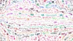 Second of 'reflets — paint synthesiser classic — 2.0 collection damp 2'.