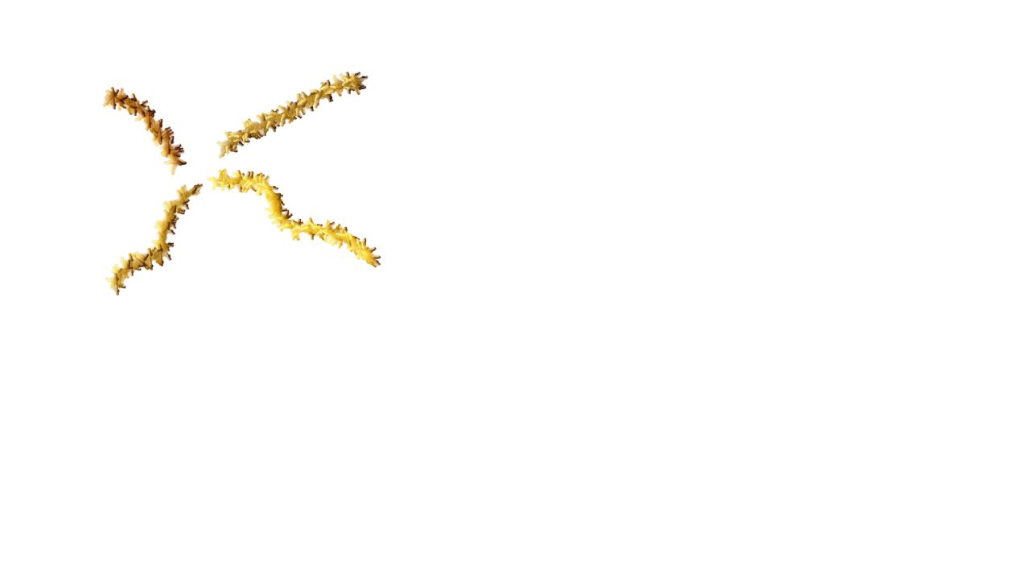 Image 'reflets — paint synthesiser classic — 3.0 collection examples 1 6'.