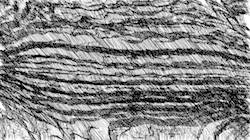 Second of 'reflets — paint synthesiser classic — speciality freestyle autodraw'.