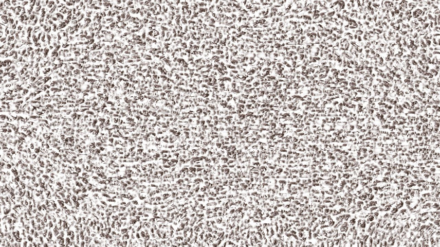 Image 'reflets — paint synthesiser classic — paint styles image brushes 1 8'.