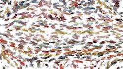 First of 'reflets — paint synthesiser classic — 3.0 collection liquid cloners 3'.