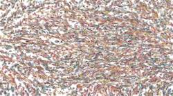 Fifth of 'reflets — paint synthesiser classic — 3.0 collection liquid cloners 3'.