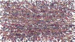 Seventh of 'reflets — paint synthesiser classic — 3.0 collection liquid cloners 3'.